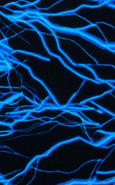 M44 - Mens Bravura Pouch Thong - Prints - Image 35