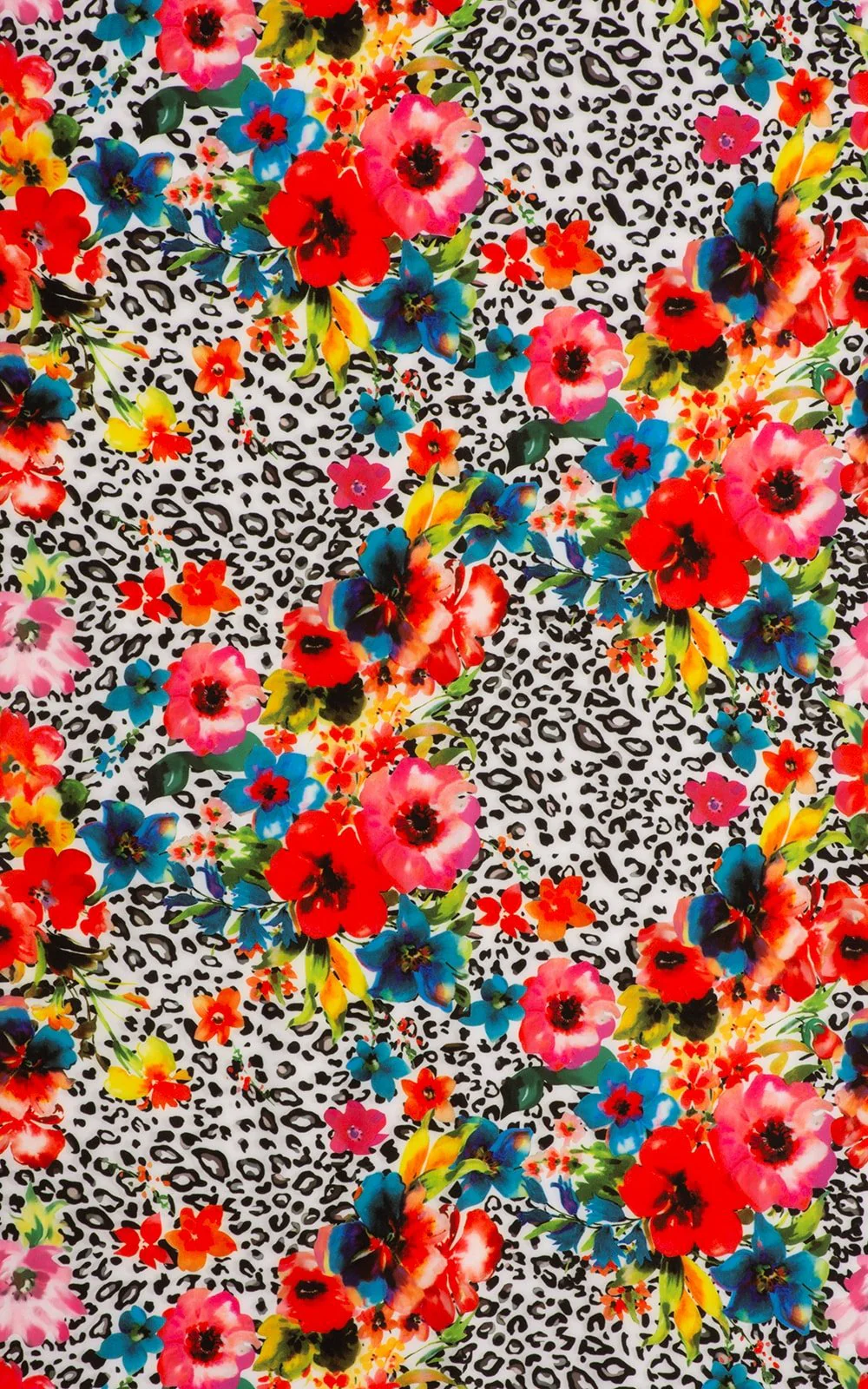 F12 - Womens Baywatch One Piece Swimsuit Full Back - Mesh - Image 5