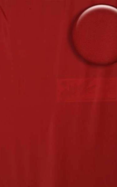 F12 - Womens Baywatch One Piece Swimsuit Full Back - Solid Sheer Semi Sheer - Image 6