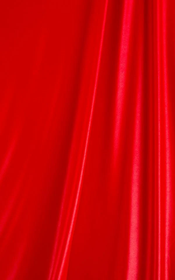 B61 - Womens Cheeky Bottom - Metallics - Image 24