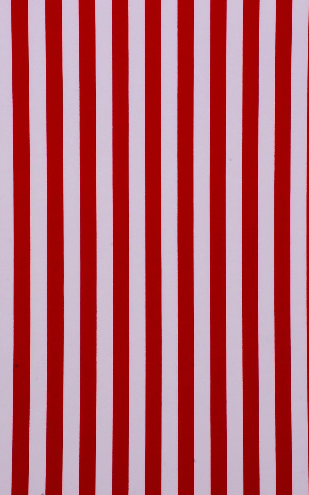 B8 - Womens High Cut Bikini 3/4 Bottom - Prints - Image 7