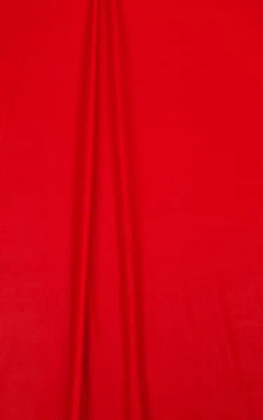 B4 - Womens High Cut Thong - Metallics - Image 7