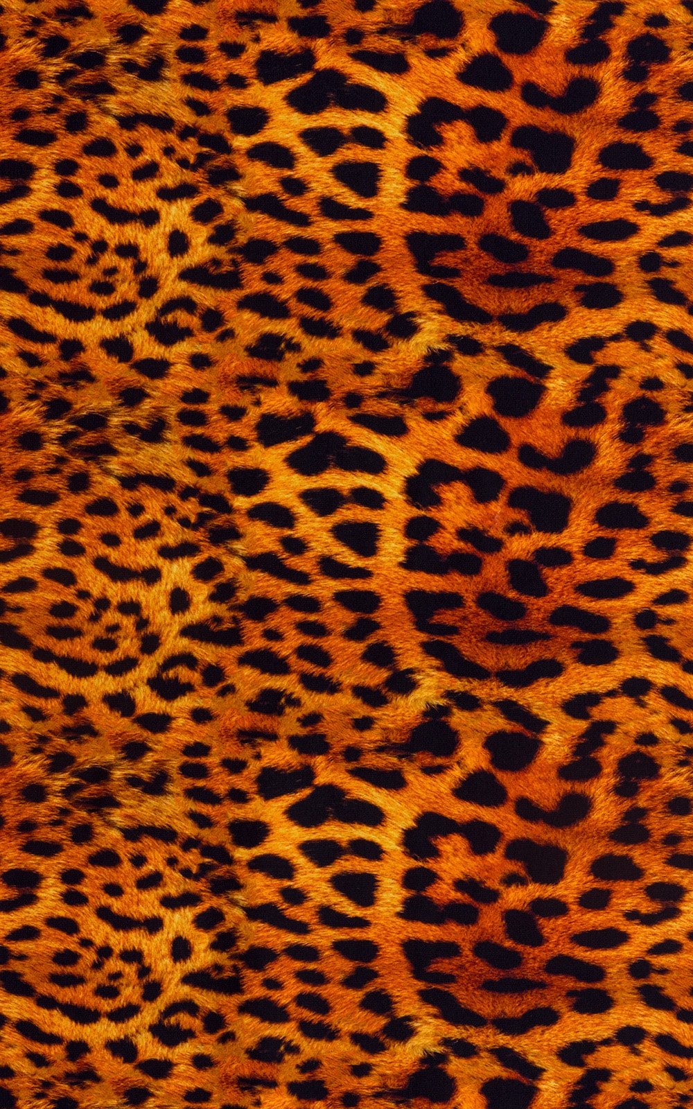 B81CN101G - Womens Micro G String Bottom with Gold Ornaments - Prints - Image 17